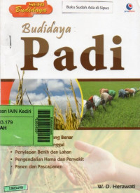 Budidaya padi